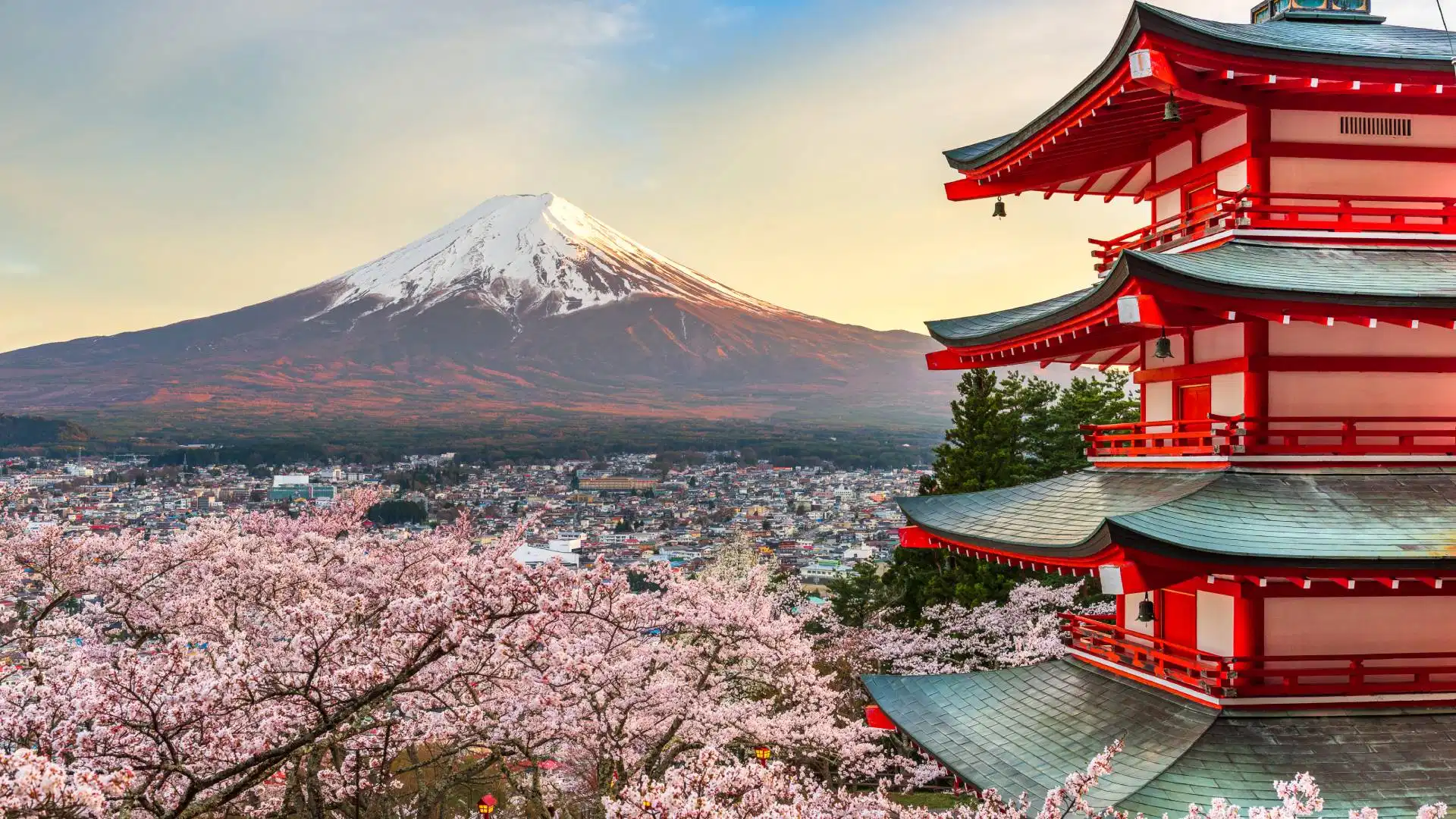 Why Does Internet Actually Matter More in Japan? Why Does Internet Actually Matter More in Japan?